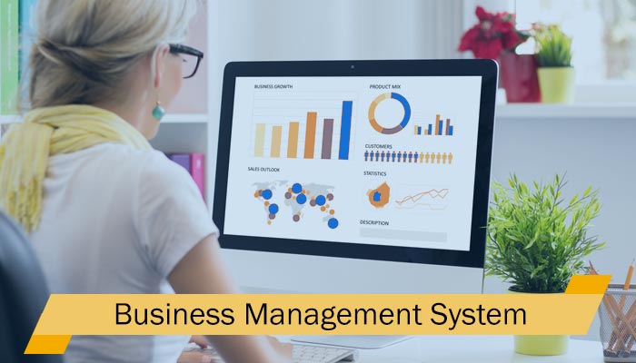 business management system